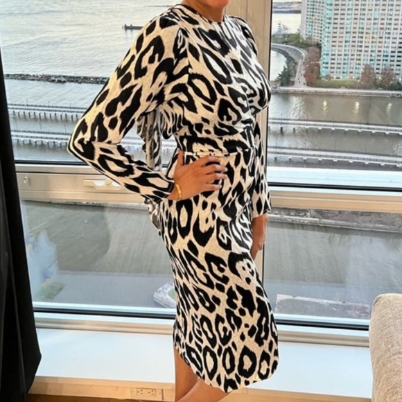 NWT *SOLD OUT* Ronny Kobo JADE SILK BLEND DRESS Revolve like Bronx and Banco - Picture 12 of 12